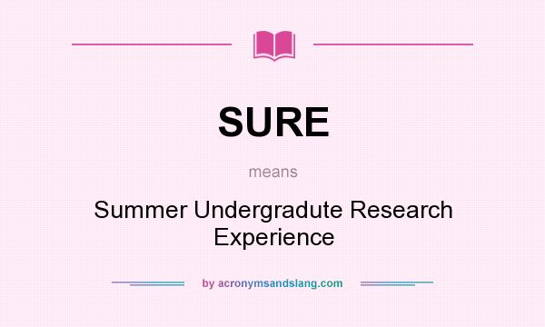 What does SURE mean? It stands for Summer Undergradute Research Experience