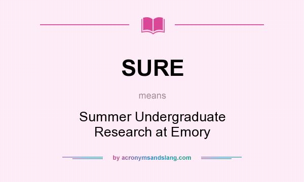 What does SURE mean? It stands for Summer Undergraduate Research at Emory