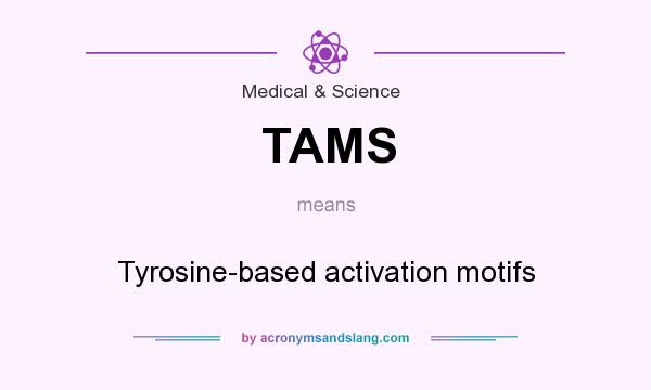 What does TAMS mean? It stands for Tyrosine-based activation motifs
