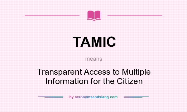 What does TAMIC mean? It stands for Transparent Access to Multiple Information for the Citizen
