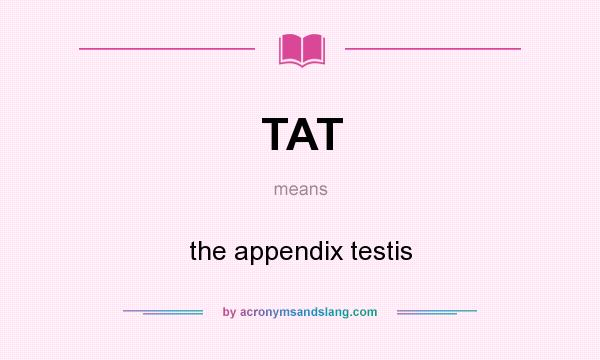 What does TAT mean? It stands for the appendix testis