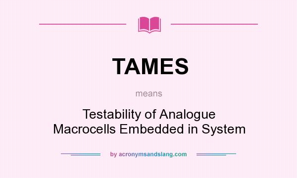 What does TAMES mean? It stands for Testability of Analogue Macrocells Embedded in System