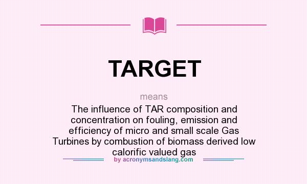 What does TARGET mean? It stands for The influence of TAR composition and concentration on fouling, emission and efficiency of micro and small scale Gas Turbines by combustion of biomass derived low calorific valued gas