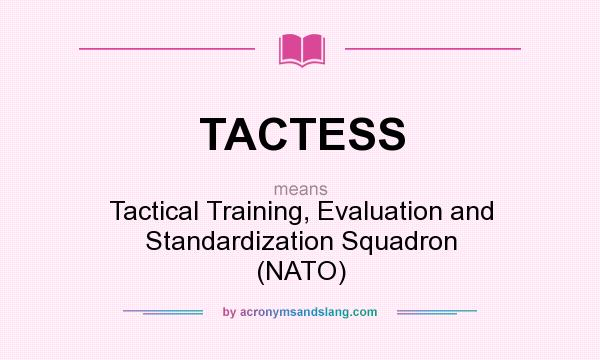 What does TACTESS mean? It stands for Tactical Training, Evaluation and Standardization Squadron (NATO)