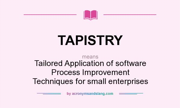What does TAPISTRY mean? It stands for Tailored Application of software Process Improvement Techniques for small enterprises
