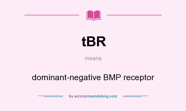 What does tBR mean? It stands for dominant-negative BMP receptor