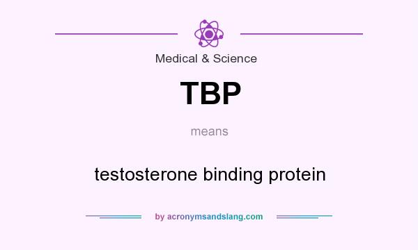 What does TBP mean? It stands for testosterone binding protein