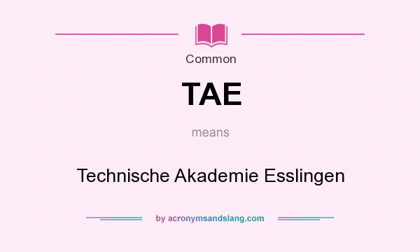 What does TAE mean? It stands for Technische Akademie Esslingen