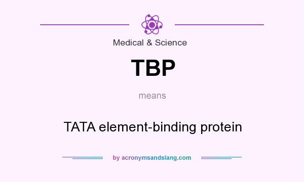 What does TBP mean? It stands for TATA element-binding protein