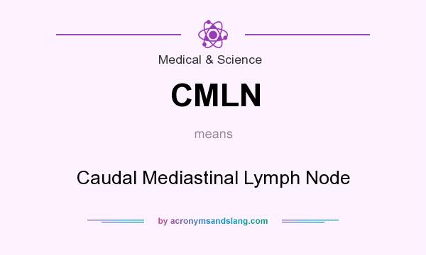 What does CMLN mean? It stands for Caudal Mediastinal Lymph Node