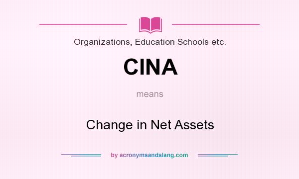 What does CINA mean? It stands for Change in Net Assets