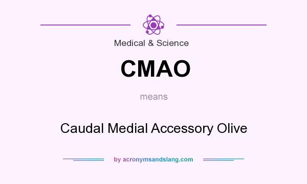 What does CMAO mean? It stands for Caudal Medial Accessory Olive