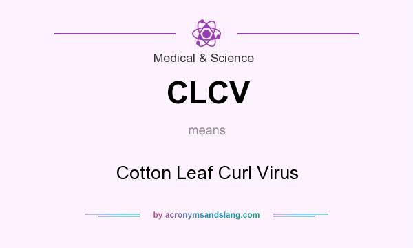 What does CLCV mean? It stands for Cotton Leaf Curl Virus