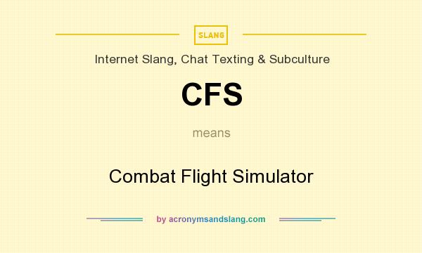 What does CFS mean? It stands for Combat Flight Simulator