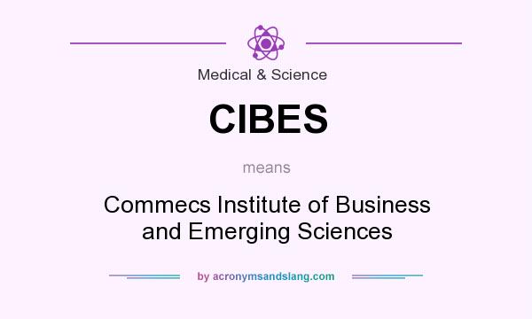 What does CIBES mean? It stands for Commecs Institute of Business and Emerging Sciences