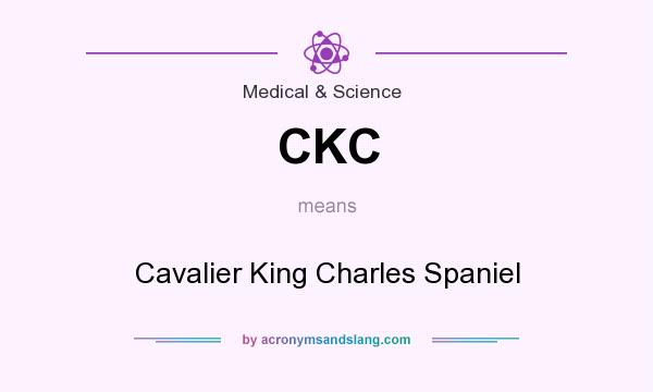 What does CKC mean? It stands for Cavalier King Charles Spaniel