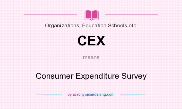 What does CEX mean? It stands for Consumer Expenditure Survey