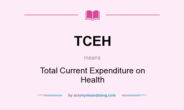 What does TCEH mean? It stands for Total Current Expenditure on Health