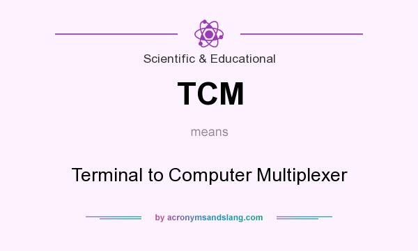 What does TCM mean? It stands for Terminal to Computer Multiplexer