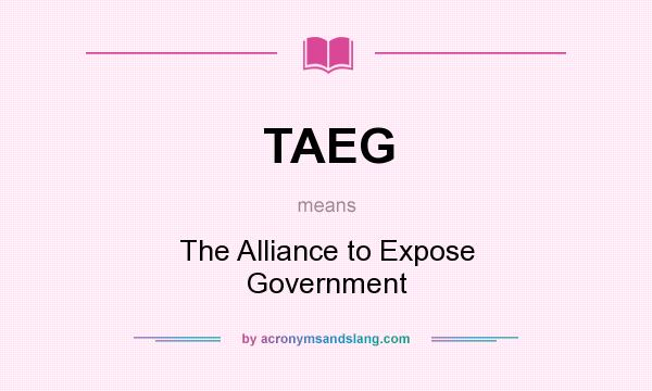 What does TAEG mean? It stands for The Alliance to Expose Government