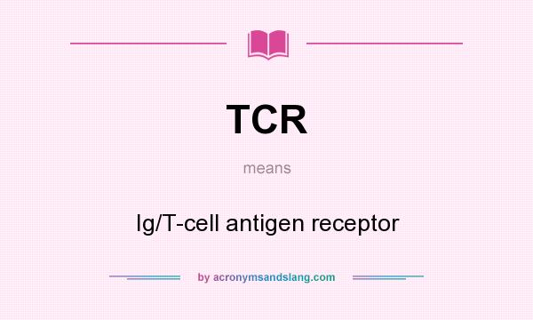 What does TCR mean? It stands for Ig/T-cell antigen receptor