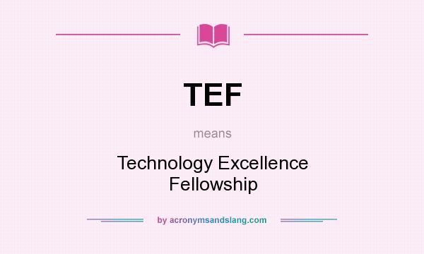 What does TEF mean? It stands for Technology Excellence Fellowship