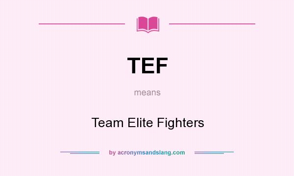 What does TEF mean? It stands for Team Elite Fighters