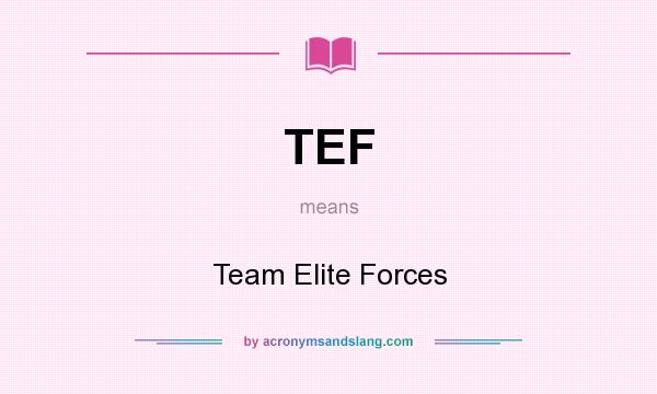 What does TEF mean? It stands for Team Elite Forces