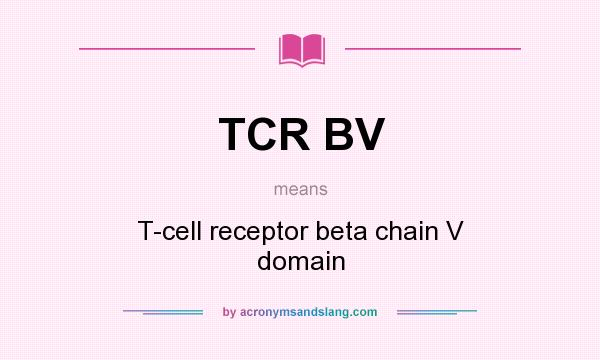 What does TCR BV mean? It stands for T-cell receptor beta chain V domain