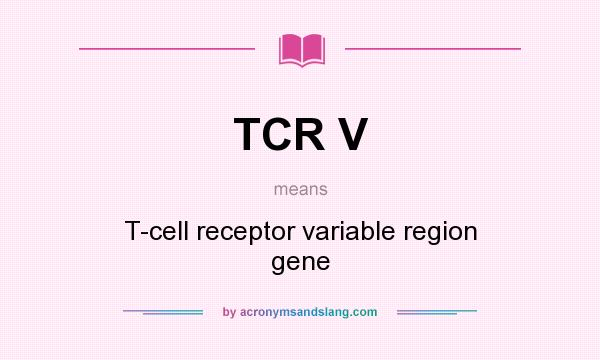 What does TCR V mean? It stands for T-cell receptor variable region gene