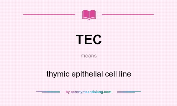What does TEC mean? It stands for thymic epithelial cell line