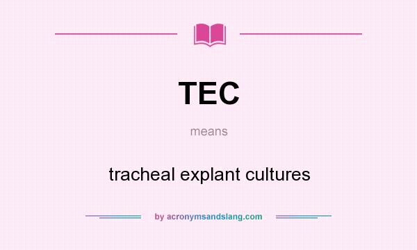 What does TEC mean? It stands for tracheal explant cultures