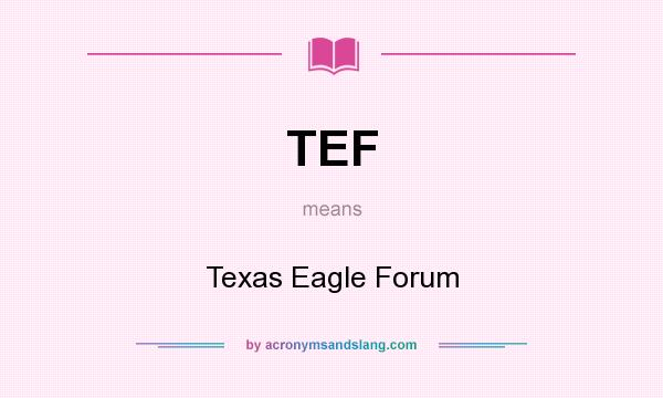 What does TEF mean? It stands for Texas Eagle Forum