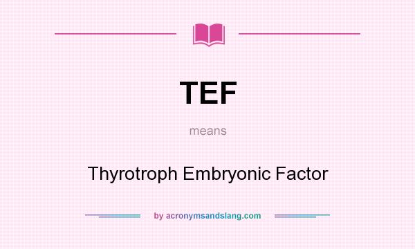 What does TEF mean? It stands for Thyrotroph Embryonic Factor