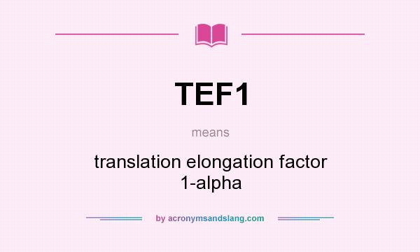 What does TEF1 mean? It stands for translation elongation factor 1-alpha