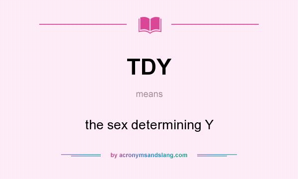 What does TDY mean? It stands for the sex determining Y