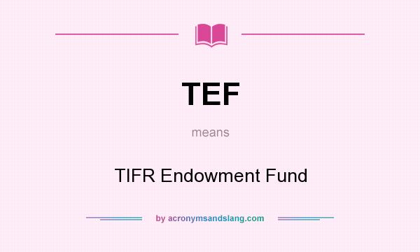 What does TEF mean? It stands for TIFR Endowment Fund