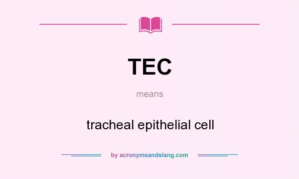 What does TEC mean? It stands for tracheal epithelial cell