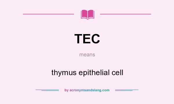 What does TEC mean? It stands for thymus epithelial cell