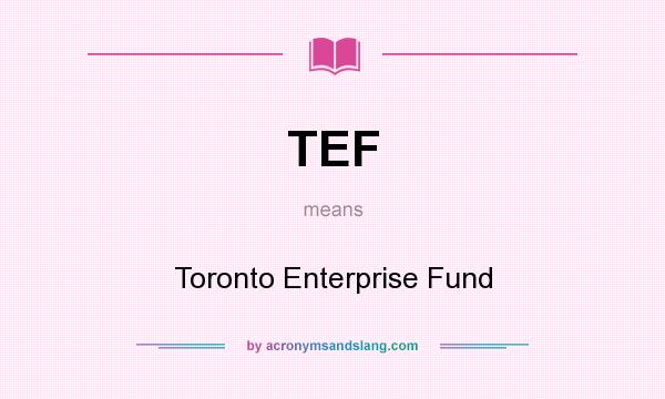 What does TEF mean? It stands for Toronto Enterprise Fund