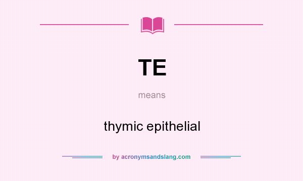 What does TE mean? It stands for thymic epithelial