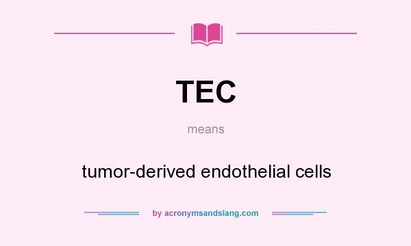 What does TEC mean? It stands for tumor-derived endothelial cells
