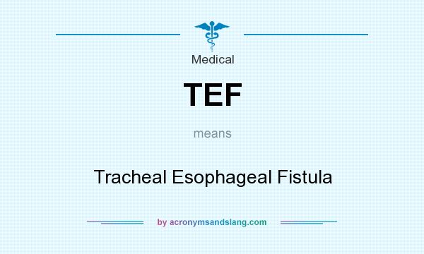 What does TEF mean? It stands for Tracheal Esophageal Fistula