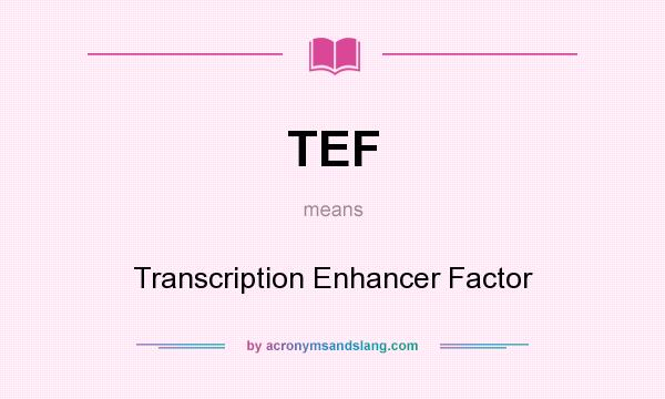 What does TEF mean? It stands for Transcription Enhancer Factor