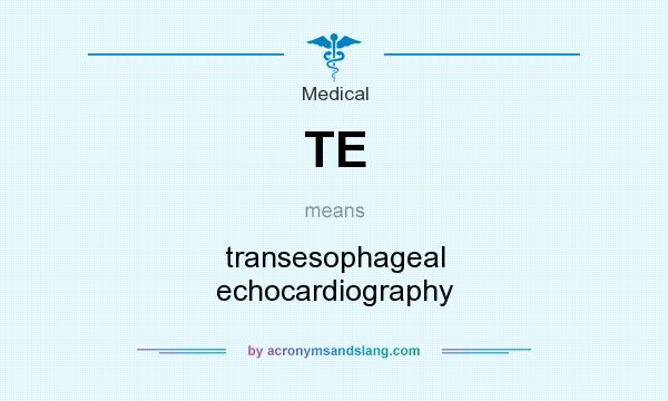 What does TE mean? It stands for transesophageal echocardiography