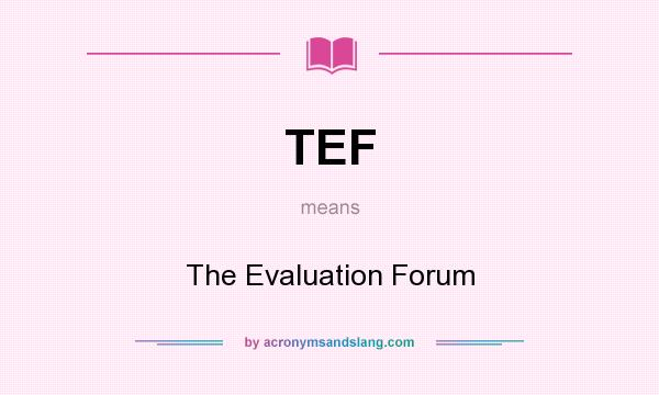 What does TEF mean? It stands for The Evaluation Forum