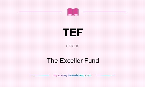 What does TEF mean? It stands for The Exceller Fund