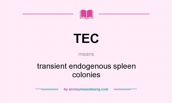 What does TEC mean? It stands for transient endogenous spleen colonies