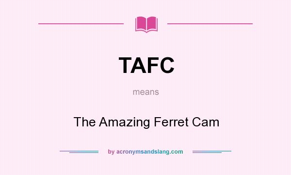 What does TAFC mean? It stands for The Amazing Ferret Cam