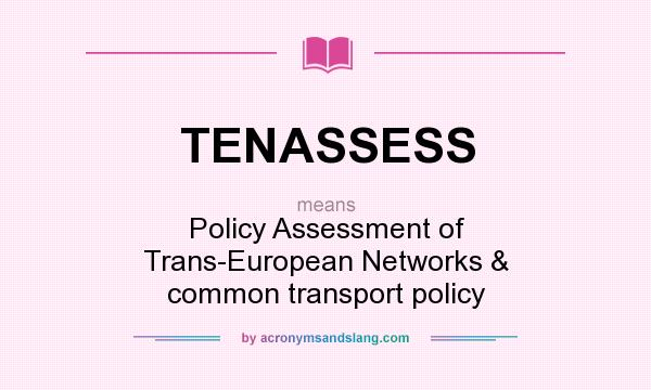 What does TENASSESS mean? It stands for Policy Assessment of Trans-European Networks & common transport policy